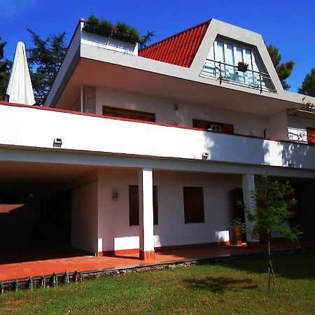 Bed And Breakfast Aloisio San Gregorio di Catania Εξωτερικό φωτογραφία