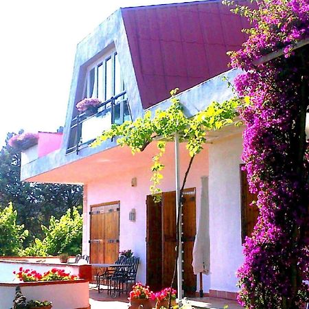 Bed And Breakfast Aloisio San Gregorio di Catania Εξωτερικό φωτογραφία