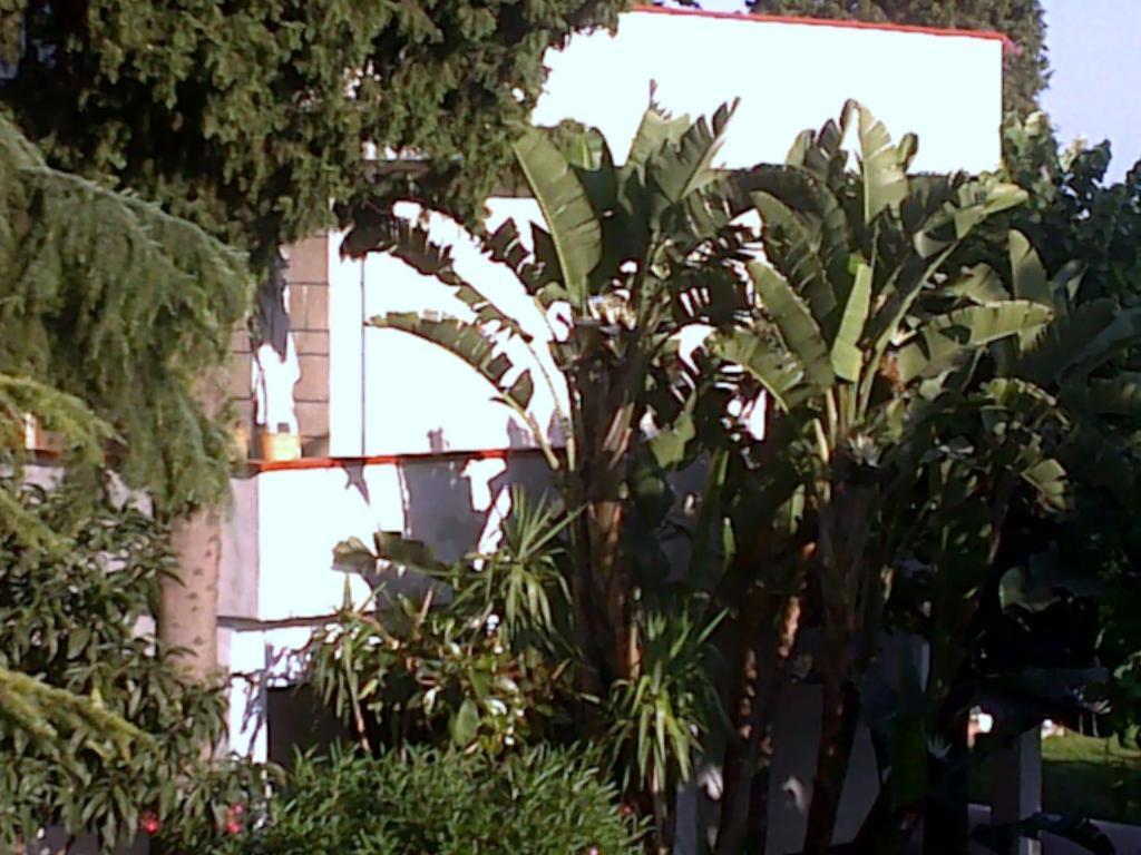 Bed And Breakfast Aloisio San Gregorio di Catania Εξωτερικό φωτογραφία