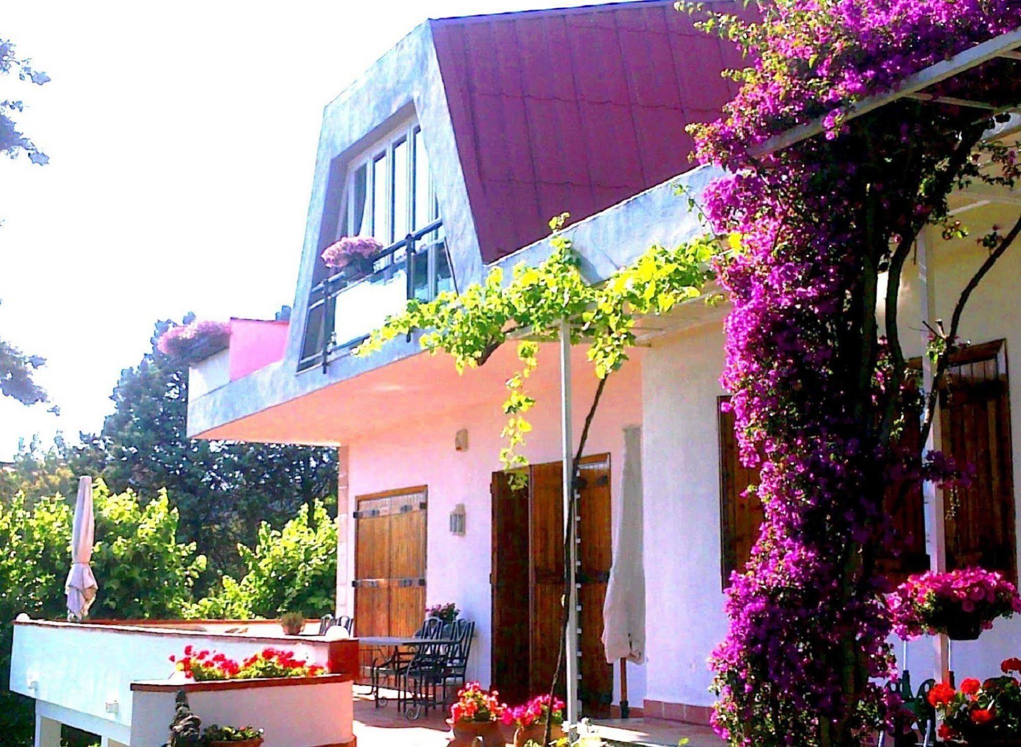 Bed And Breakfast Aloisio San Gregorio di Catania Εξωτερικό φωτογραφία